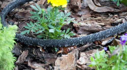 Könnyező, izzadó tömlő, hatékony öntözés kisebb területeken.