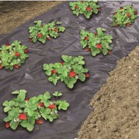 Eper termesztés piros takarófólia, fényvisszaverő, UV stabil, hatékonyság növelő.
