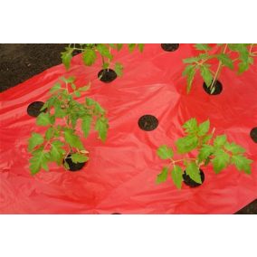 Piros takarófólia paradicsomhoz, UV védett, javítja a növekedést.