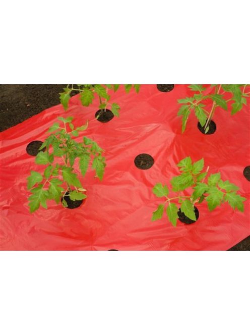 Piros takarófólia paradicsomhoz, UV védett, javítja a növekedést.