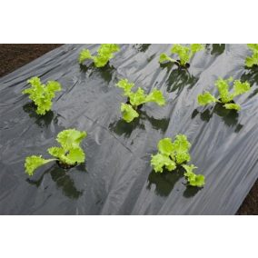 Saláta termesztés fekete talajtakaró, UV stabil, javítja a növekedési feltételeket.