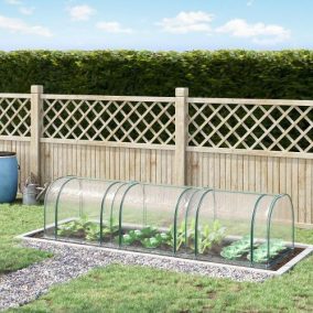 Fóliasátor, 35 négyzetméter, időjárásálló alagút rendszerű, kiterjedt növényvédelem.